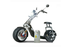 e-scooter-coco-bike-chopper-10zoll-60v-50kmh-c14-schwarz-4
